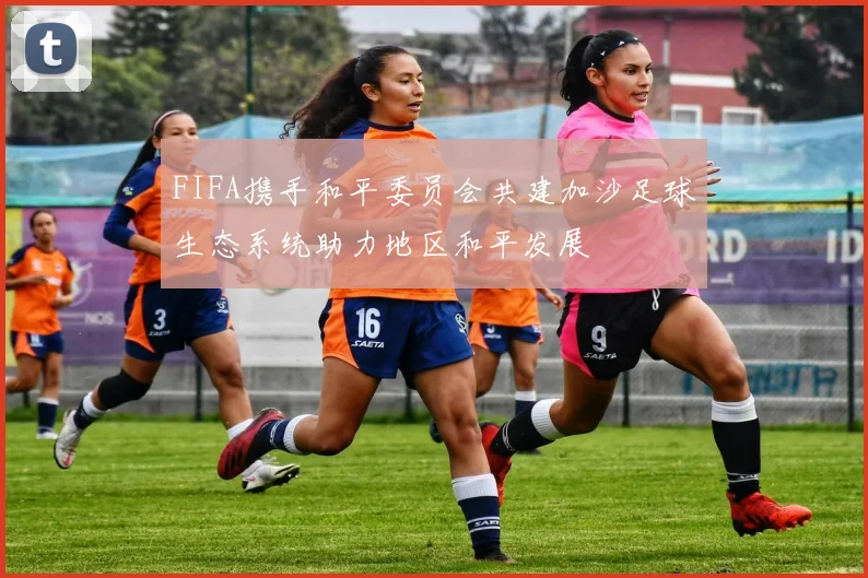 FIFA携手和平委员会共建加沙足球生态系统助力地区和平发展
