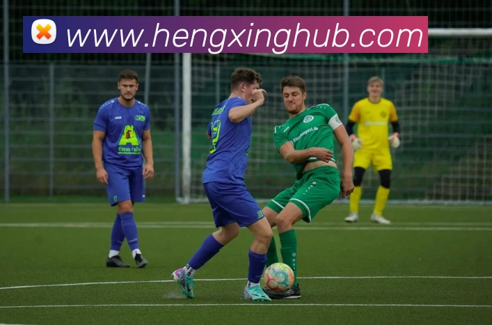 多媒体互动体验